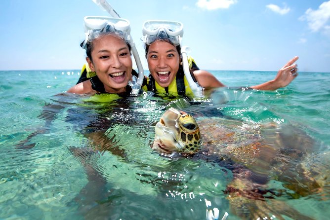 Miyakojima / Snorkel Tour to Swim With Sea Turtles - Accessibility and Restrictions