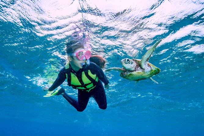 Miyakojima / Snorkel Tour to Swim With Sea Turtles - Duration and Schedule