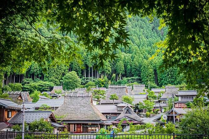 Miyama Kayabuki No Sato 1 Day Tour From Osaka or Kyoto - Tour Accessibility and Considerations