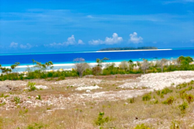 Mnemba Island Snorkeling Tour - Unique Snorkeling Experiences