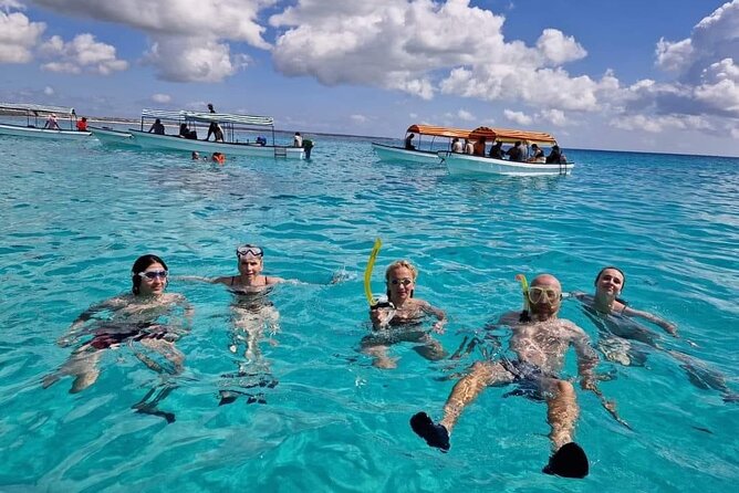 Mnemba Island Snorkeling Tour - What to Expect on the Day