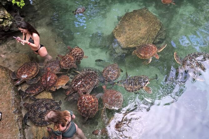 Mnemba Snorkeling, Dolphin and Baraka Natural Aquarium - Uniqueness of the Offering