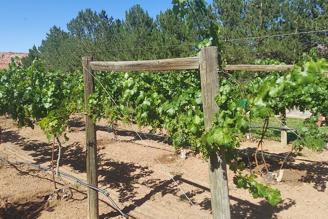 Moab Back Roads, History and Winery E-Bike Tour - Tour Inclusions
