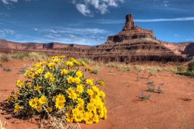 Moab: Canyonlands National Park 4x4 White Rim Tour - Customer Reviews