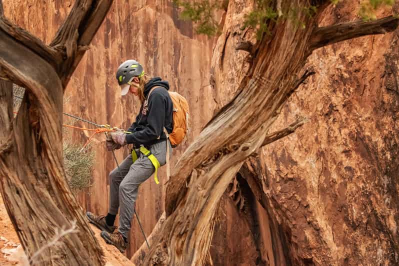Moab: Fins and Things Canyoneering Adventure Tour - Key Points