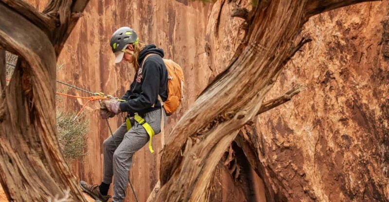 Moab: Fins and Things Canyoneering Adventure Tour - Itinerary Highlights