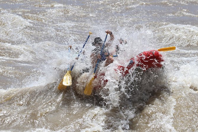 Moab Half-Day Rafting Trip - Opportunities for Swimming