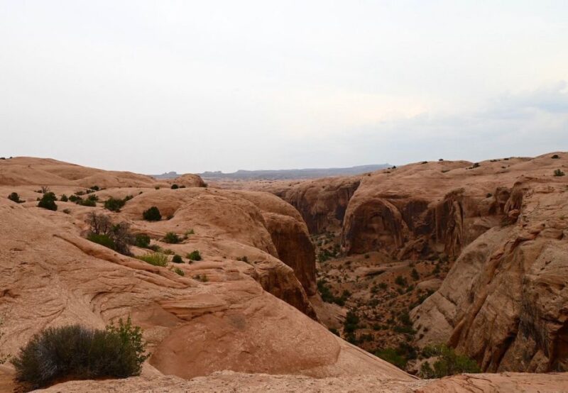 Moab: Self-Drive 2.5-Hour Hells Revenge 4x4 Guided Tour - Important Information