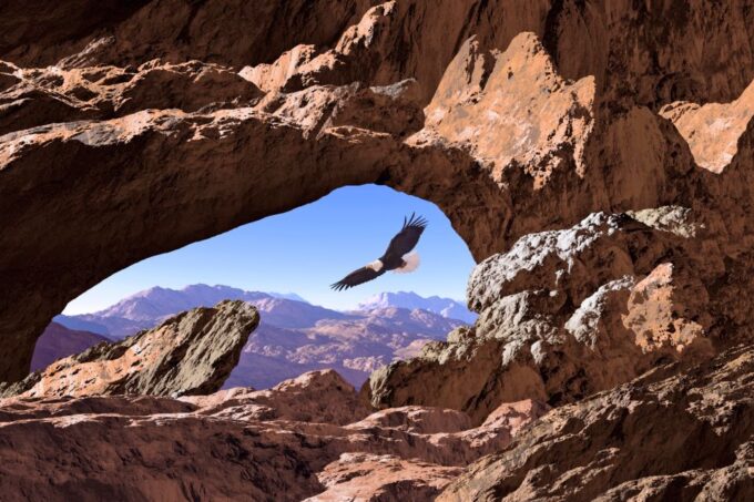 Moab: Ultimate Arches National Park Driving Tour - Booking Information