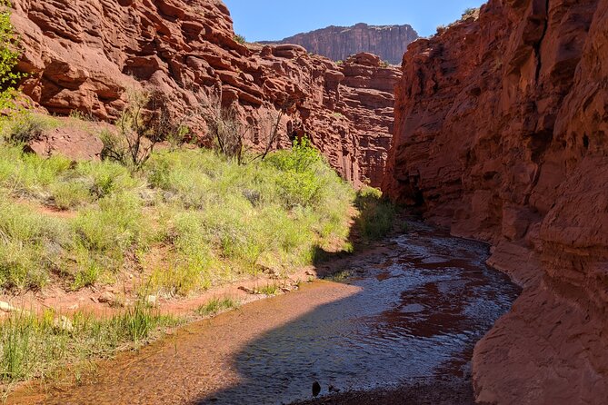 Moabs Slot Canyon Hike: Refreshingly Cool Summer Creek Adventure - What to Expect During the Hike