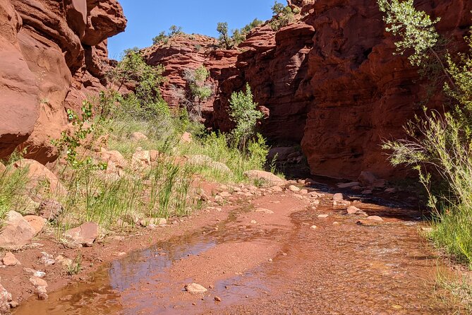Moabs Slot Canyon Hike: Refreshingly Cool Summer Creek Adventure - Preparing for the Moabs Slot Canyon Adventure
