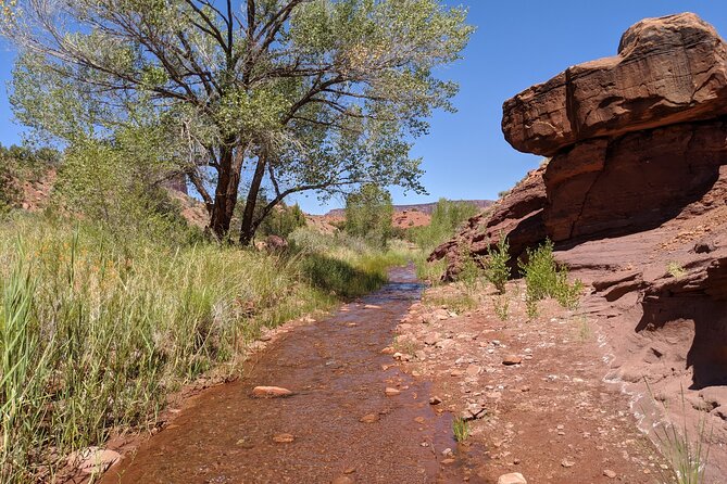 Moabs Slot Canyon Hike: Refreshingly Cool Summer Creek Adventure - Frequently Asked Questions