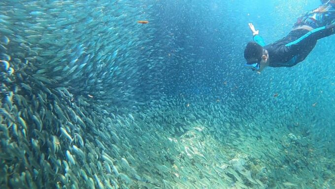 Moalboal: Island Hopping Adventure & Kawasan Falls Excursion - Photography and Rental Gear