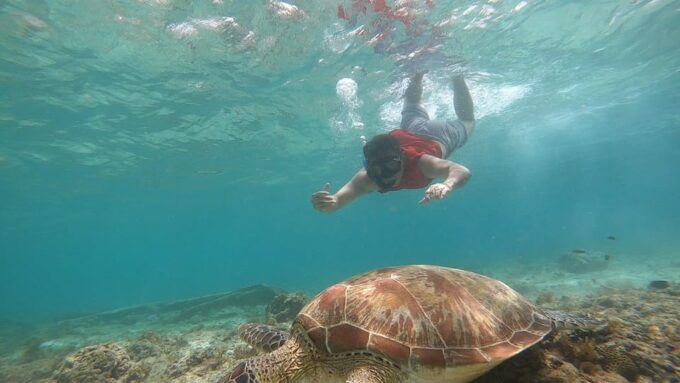 Moalboal Marvels: Island Hopping Paradise, Sardines Run - Scenic Boat Ride