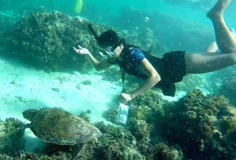 Moalboal: Pescador Island Hopping Adventure and Sardine Run - Authentic Experiences and Real Traveler Feedback