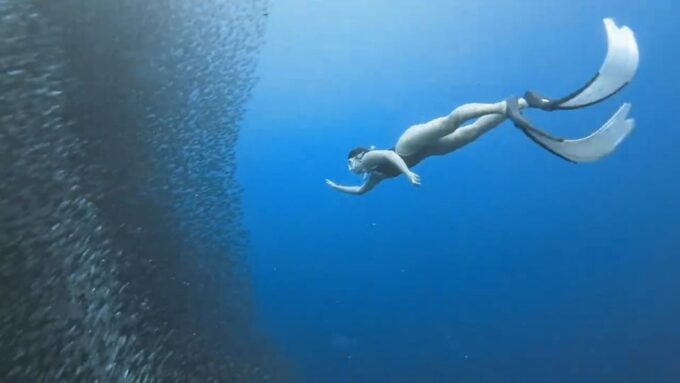 Moalboal: Pescador Island & Mantayupan Falls Adventure! - What to Expect