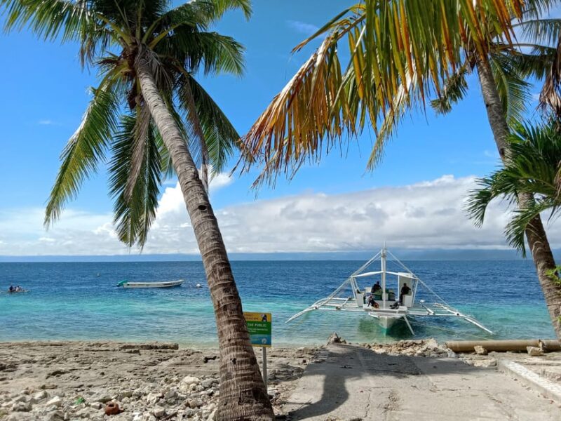 Moalboal Sardine Run, Sea Turtle & Mantayupan Falls - Itinerary and Activities
