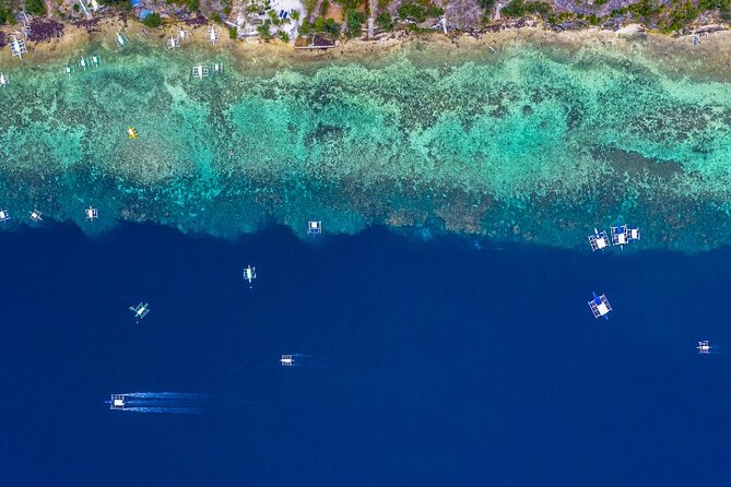 Moalboal Sardines Run Private Tour - Breathtaking Underwater Spectacle