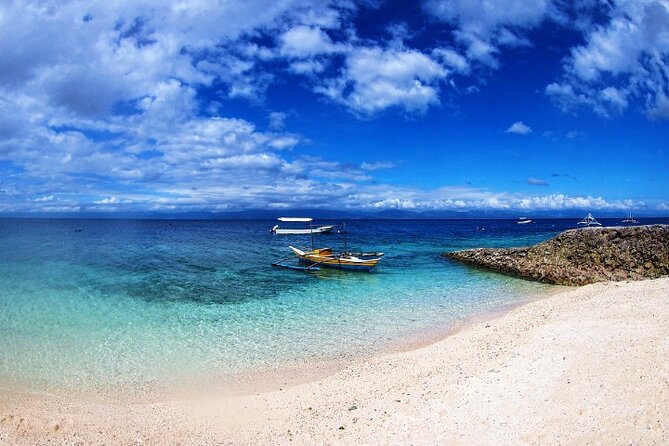 Moalboal Sardines Run Private Tour - Reviews and Ratings