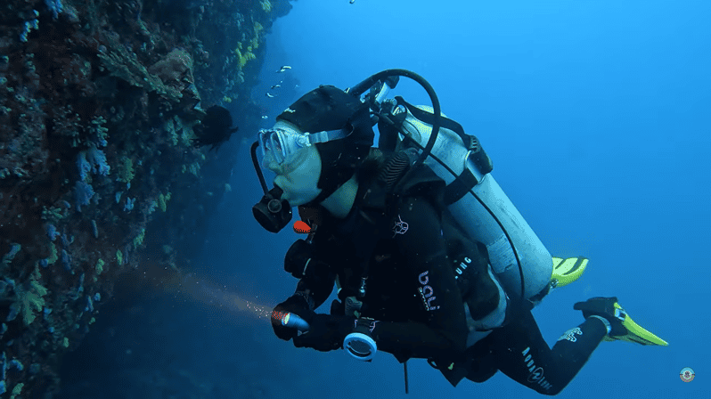 Moalboal : Scuba Diving Sardine Run and Turtle Chasing - Key Points