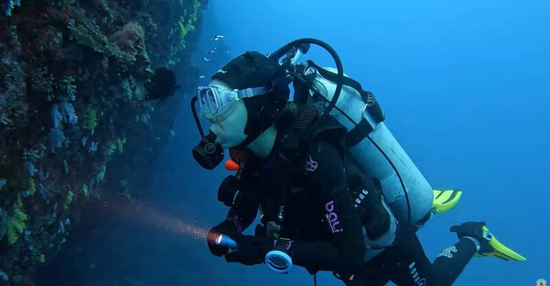 Moalboal : Scuba Diving Sardine Run and Turtle Chasing - Pickup and Drop-off Locations