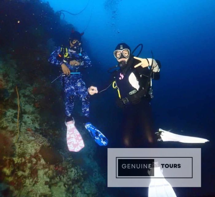 Moalboal: Scuba Diving With the Sardine and Sea Turtles - Licensed Divemaster and Equipment