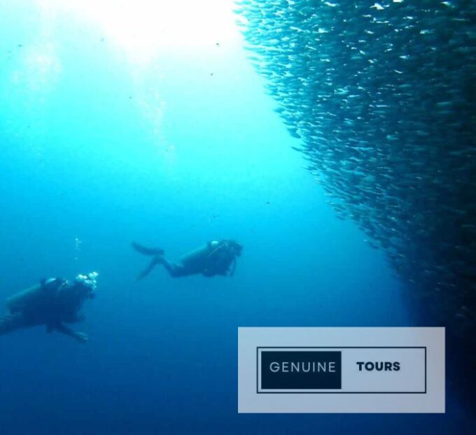Moalboal: Scuba Diving With the Sardine and Sea Turtles - Pricing and Duration Details