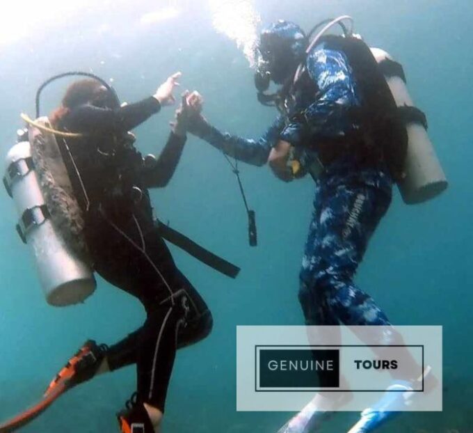 Moalboal: Scuba Diving With the Sardine and Sea Turtles - Frequently Asked Questions