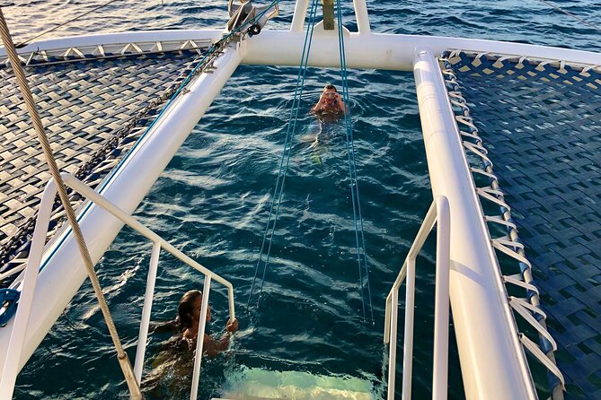Moana's Guided Turtle Snorkel & Sailing Adventure at Waikiki - Kewalo Basin Harbor Meeting Point