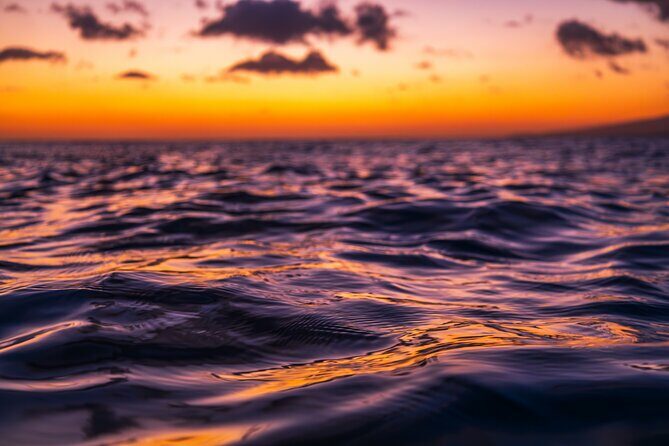 Moanas Luxury semi-private Sunset Cruise on Nalu - Key Points
