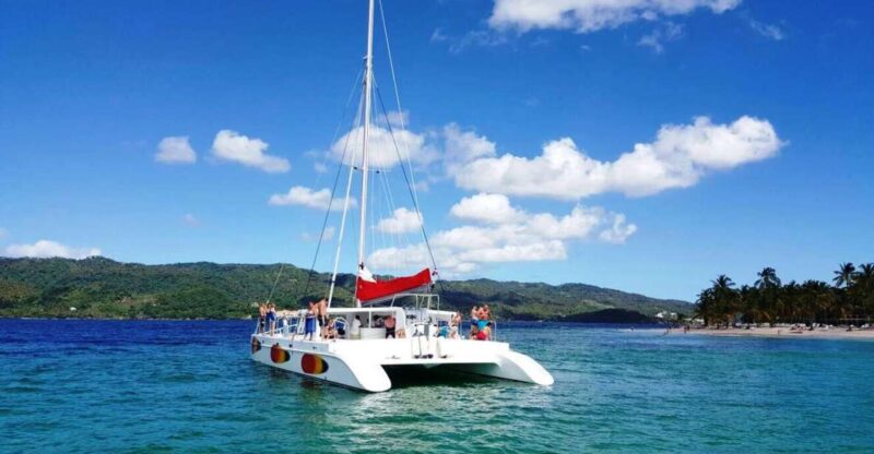 Mobay Catamaran (Swim/Snorkel) Fr Reading to Margarittaville - Customer Ratings and Reviews