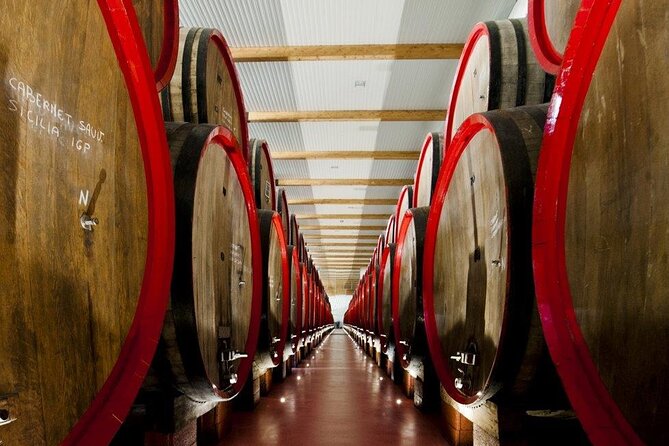 Modena Area: Lambrusco Wine Tasting Experience - Accessibility and Transportation