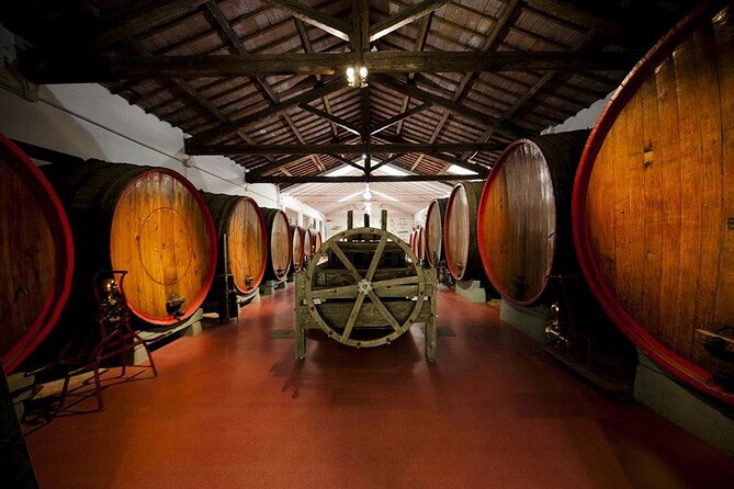 Modena Area: Lambrusco Wine Tasting Experience - Wine Museum Visit