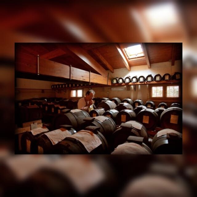 Modena:Tour&Taste of Bio & Traditional Balsamic Vinegar DOP - Key Points