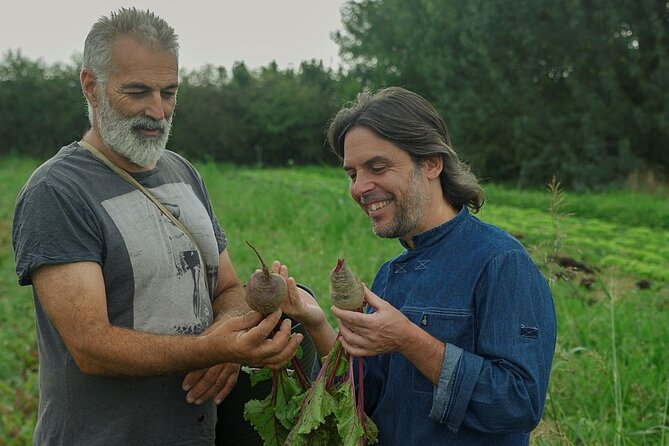 Modern, Inventive Catalan Cooking Class in Girona - Tantalizing Starter Dishes