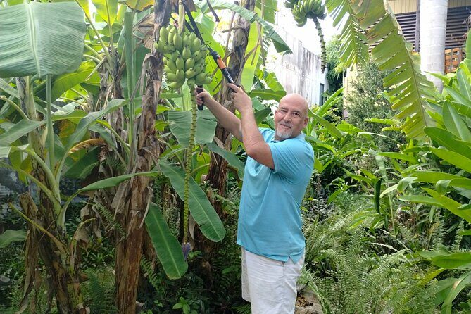 Modern Puerto Rican Cooking Class in a Historic San Germán Home - An In-Depth Look at the Experience