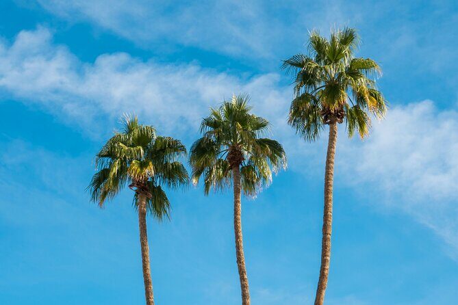 Mods & Icons Tour of Palm Springs - Pricing and Value
