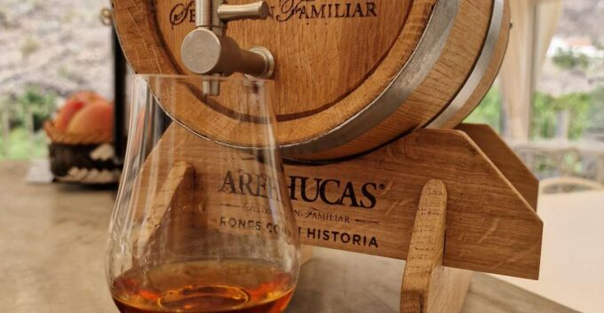 Mogan: Canarian Rum & Local Cheese Tasting Tour - Scenic Surroundings