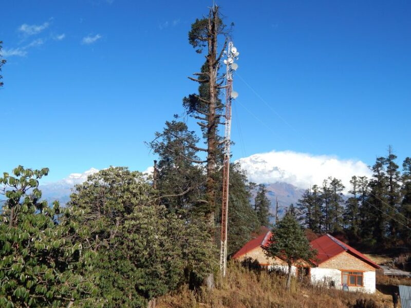 Mohare Danda: Majestic 6-days Trek - Trekking Experience