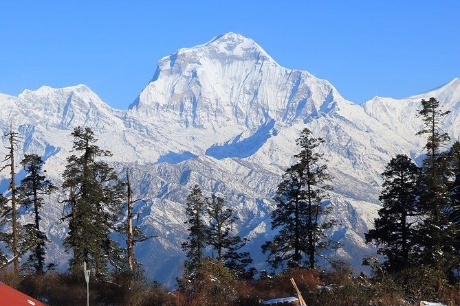 Mohare Danda Trek - Trekking Through Diverse Landscapes
