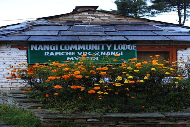 Mohare Danda Trek: An Honest Review - Accommodation and Dining Experiences