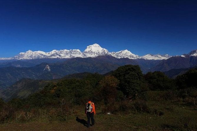 Mohare Danda Trek: An Honest Review - Trek Safety and Preparation