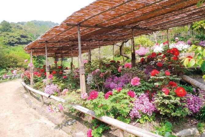 Mojiko Retro, Kawachi Wisteria and Shiranoe Gardens Tour YokaBus - Inclusions and Exclusions