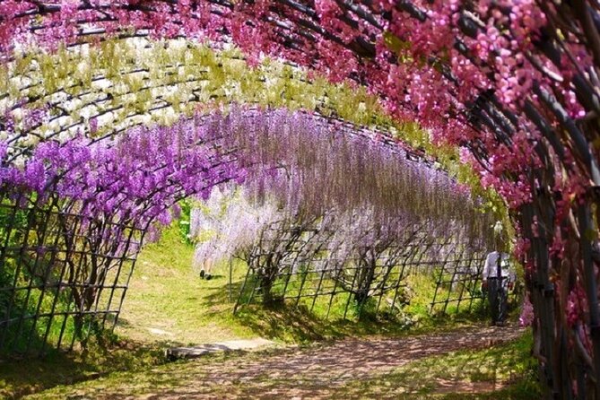Mojiko Retro, Kawachi Wisteria and Shiranoe Gardens Tour YokaBus - Enchanting Kawachi Wisteria Garden