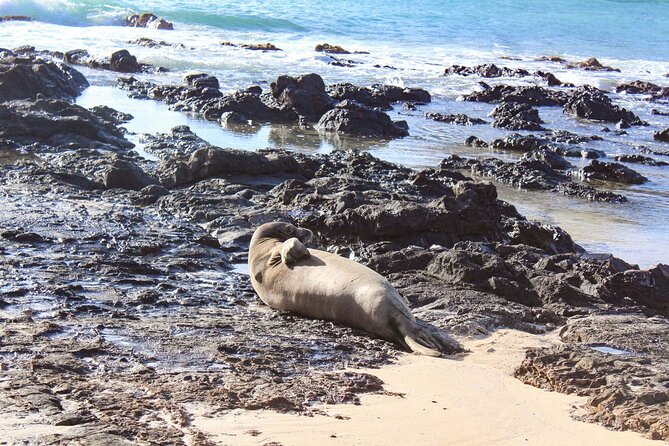 Mokulua Islands Self-Guided Kayak Adventure - Highlights of the Experience