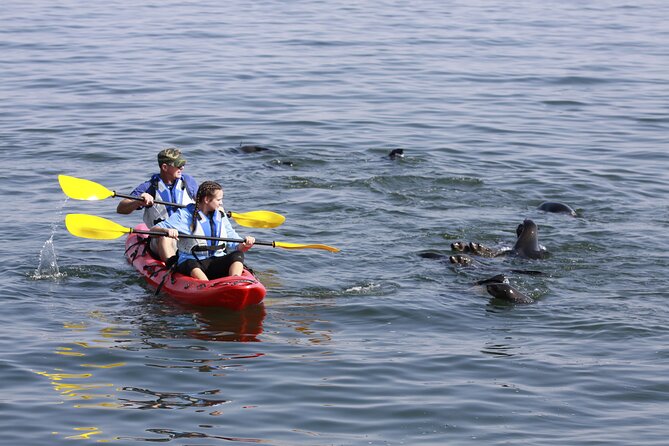 Mola Mola Kayaking Experience With a Licensed Guide - Whats Included in the Tour