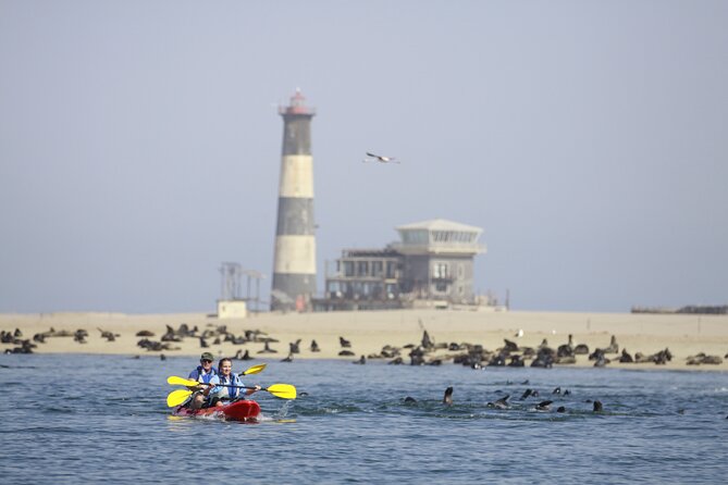 Mola Mola Kayaking Experience With a Licensed Guide - Confirmation and Booking Information