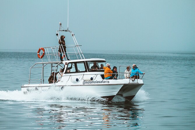 Mola Mola Marine Dolphin Cruise From the Walvis Bay Waterfront to Pelican Point - Onboard Amenities