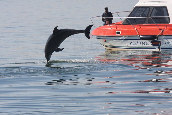 Mola Mola Marine Dolphin Cruise From the Walvis Bay Waterfront to Pelican Point - Cancellation Policy