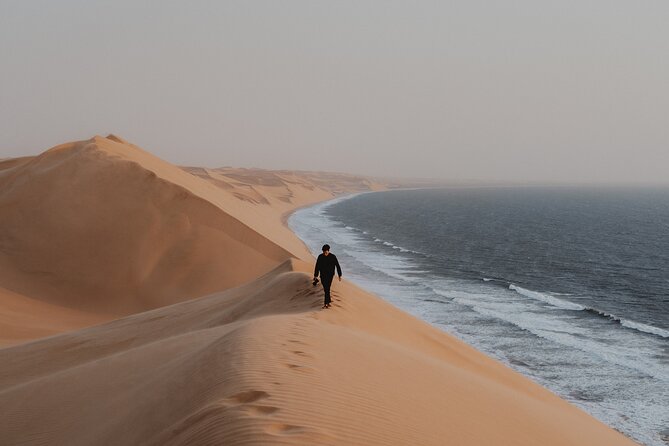 Mola Mola Marine Dune Experience - Wildlife Viewing Opportunities